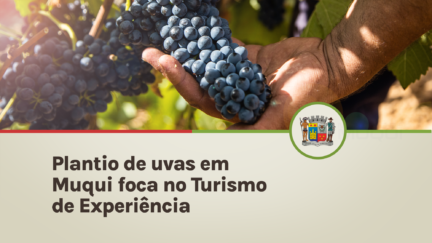 Plantio de uvas em Muqui foca no Turismo de Experiência