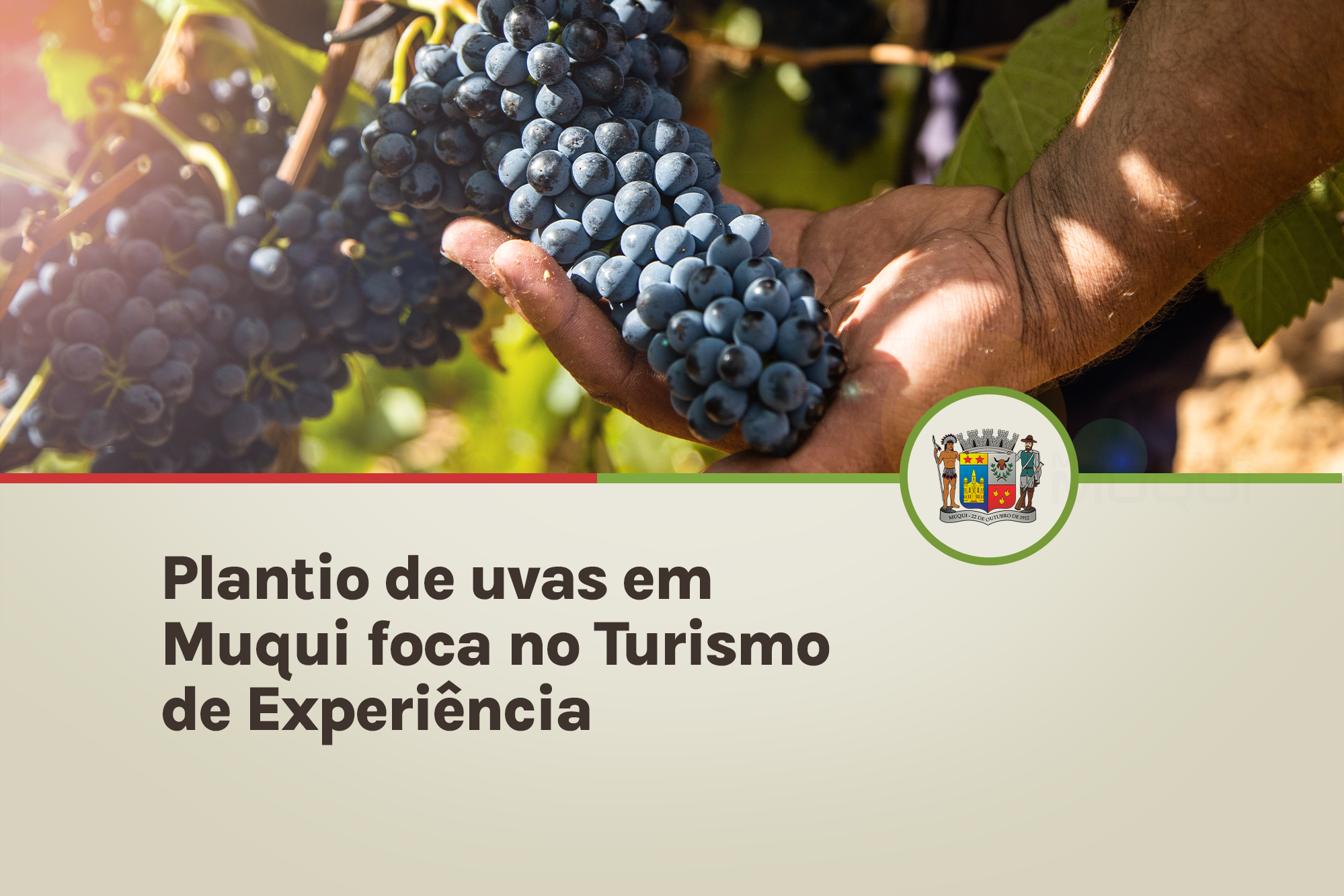 Plantio de uvas em Muqui foca no Turismo de Experiência