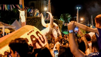 Secult ES aprova prestação de contas do “Carnaval dos Bois Pintadinhos de Muqui – 2024”