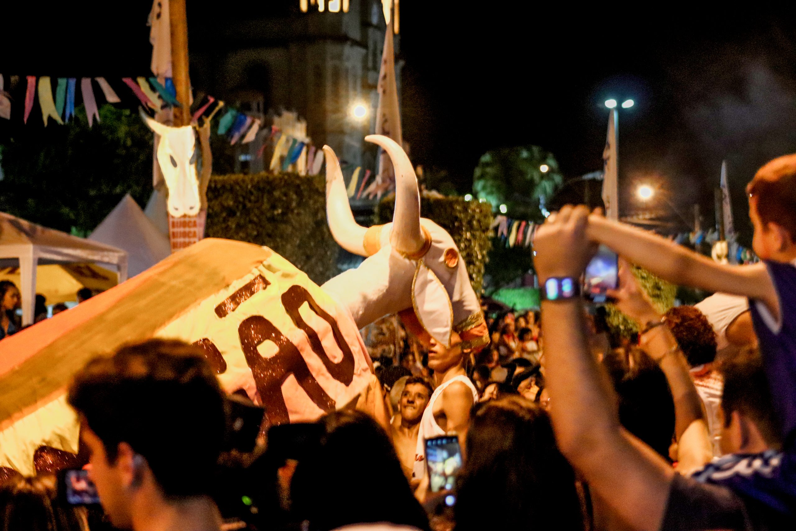 Secult ES aprova prestação de contas do “Carnaval dos Bois Pintadinhos de Muqui – 2024”