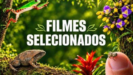 Confira os filmes selecionados para o 2º Cine Marapé